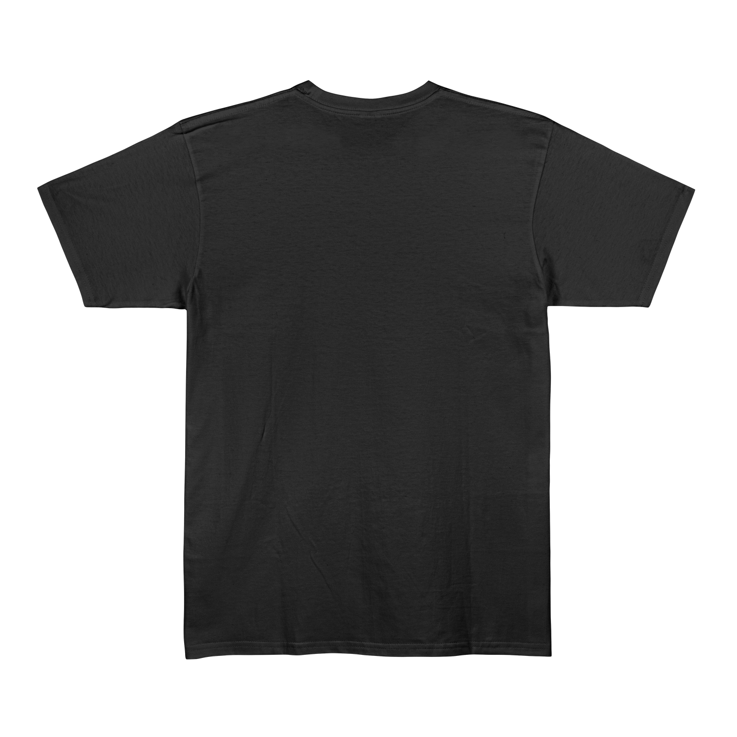 Black Unisex Regular Fit Tshirt - BURBENT®