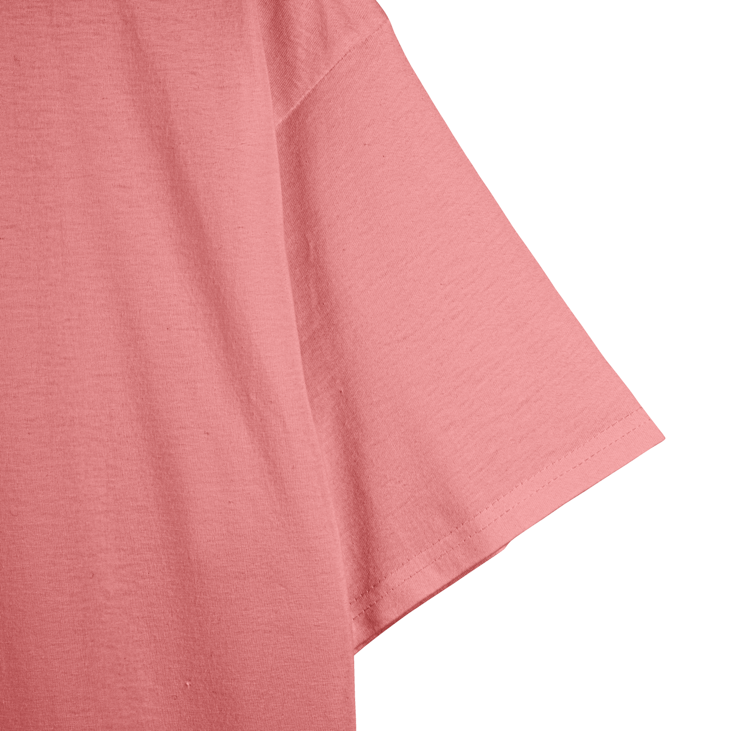 Flamingo Unisex Regular Fit Tshirt - BURBENT®