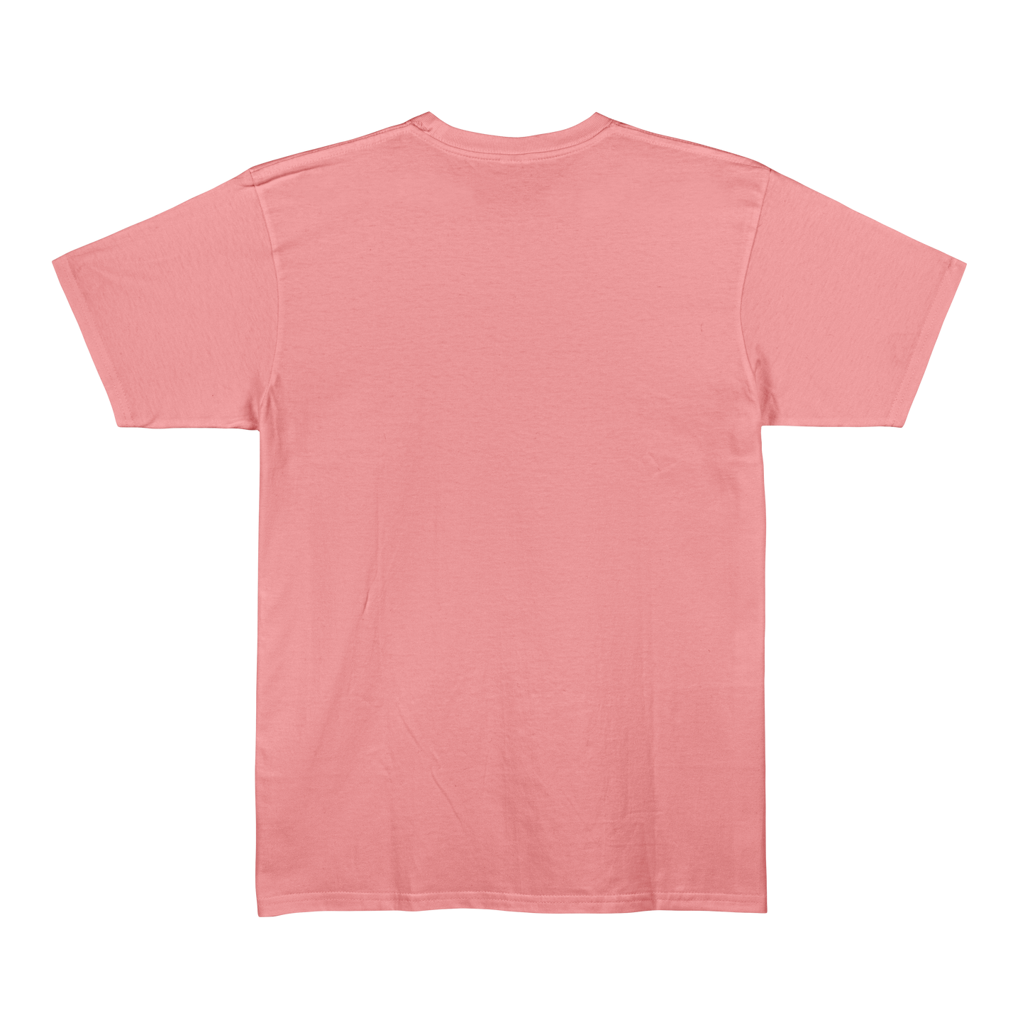 Flamingo Unisex Regular Fit Tshirt - BURBENT®