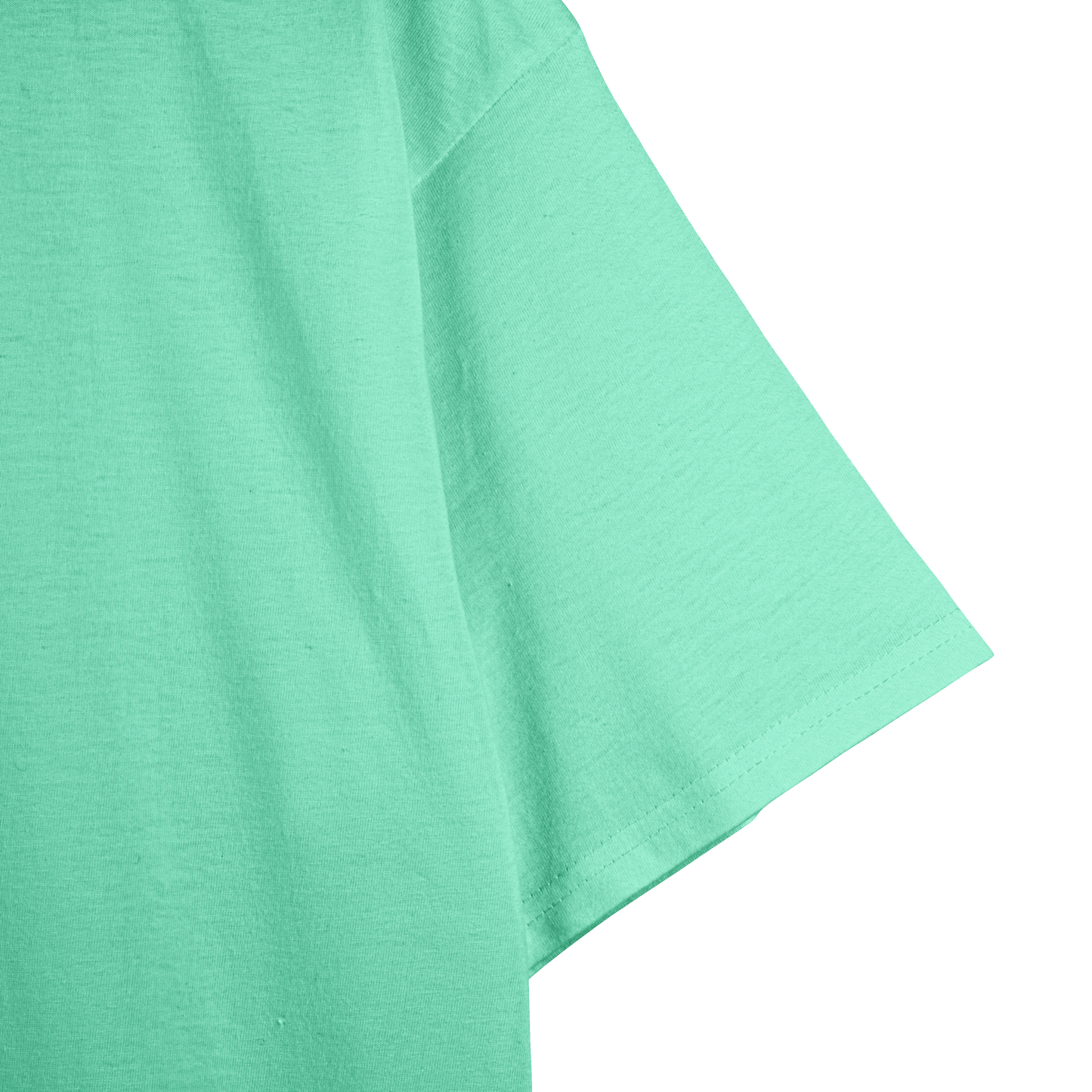 Mint Unisex Regular Fit Tshirt - BURBENT®