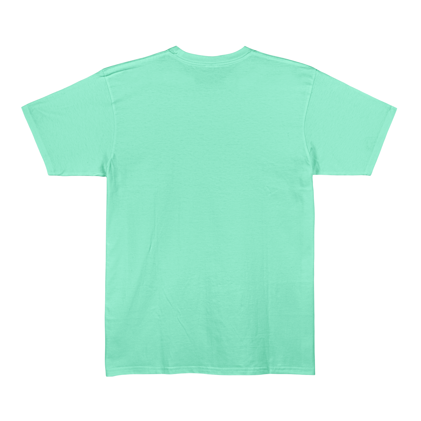 Mint Unisex Regular Fit Tshirt - BURBENT®