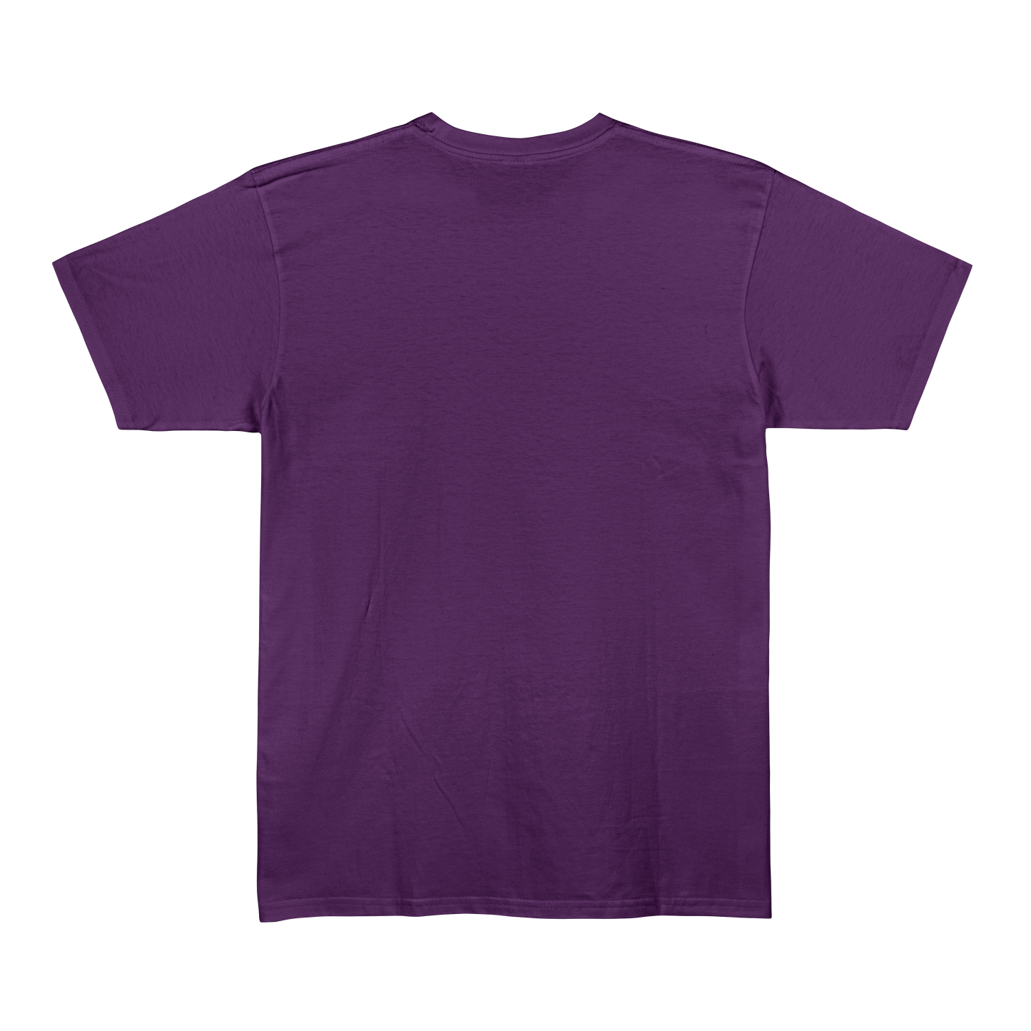 Purple Unisex Regular Fit Tshirt - BURBENT®