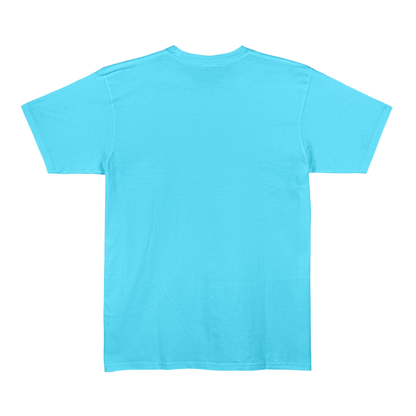 Sky Blue Unisex Regular Fit Tshirt - BURBENT®