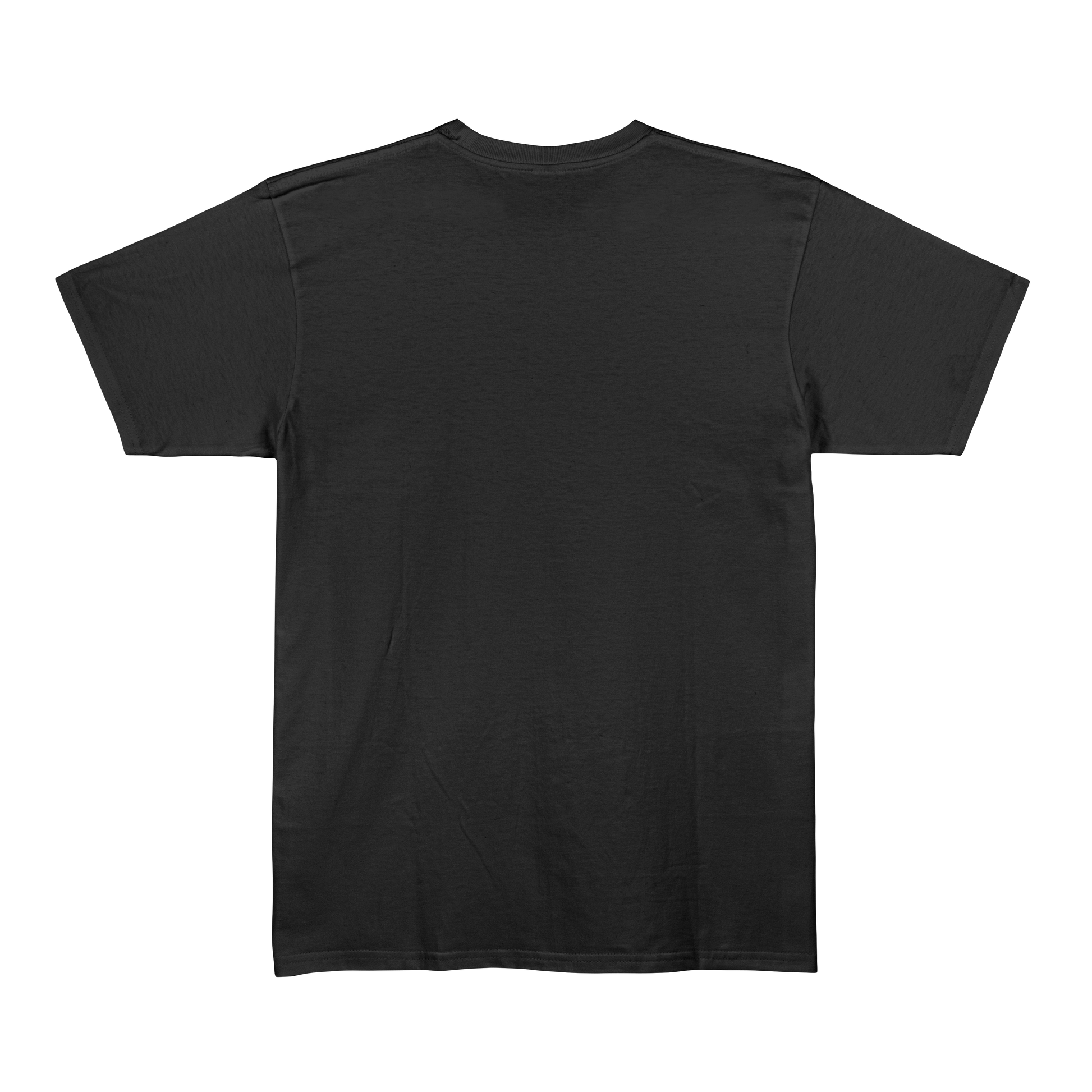 Black Unisex Regular Fit Tshirt - BURBENT®