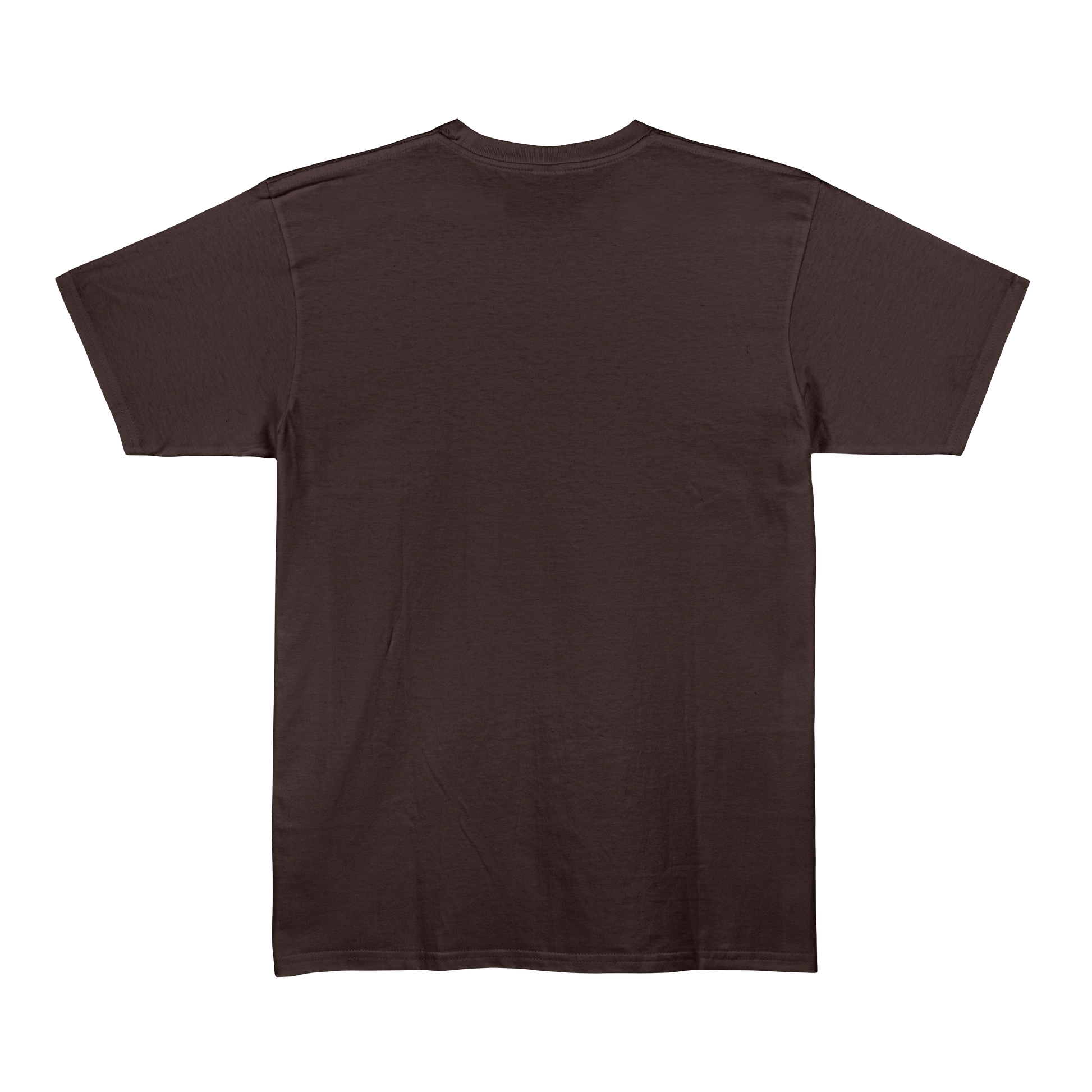 Brown Unisex Regular Fit Tshirt - BURBENT®