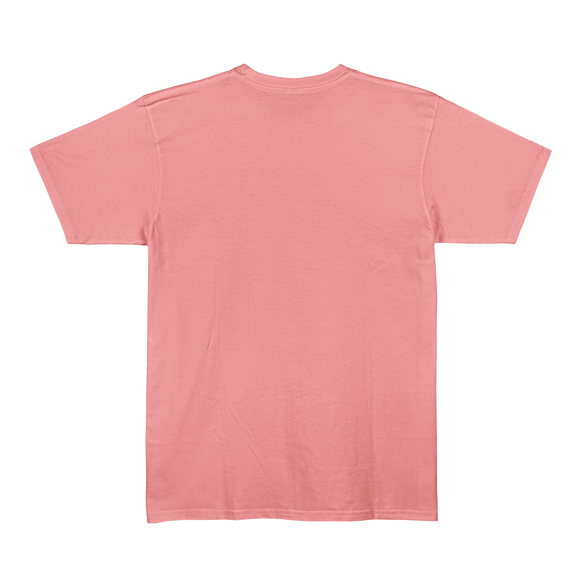 Flamingo Unisex Regular Fit Tshirt - BURBENT®