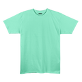 Mint Unisex Regular Fit Tshirt - BURBENT®