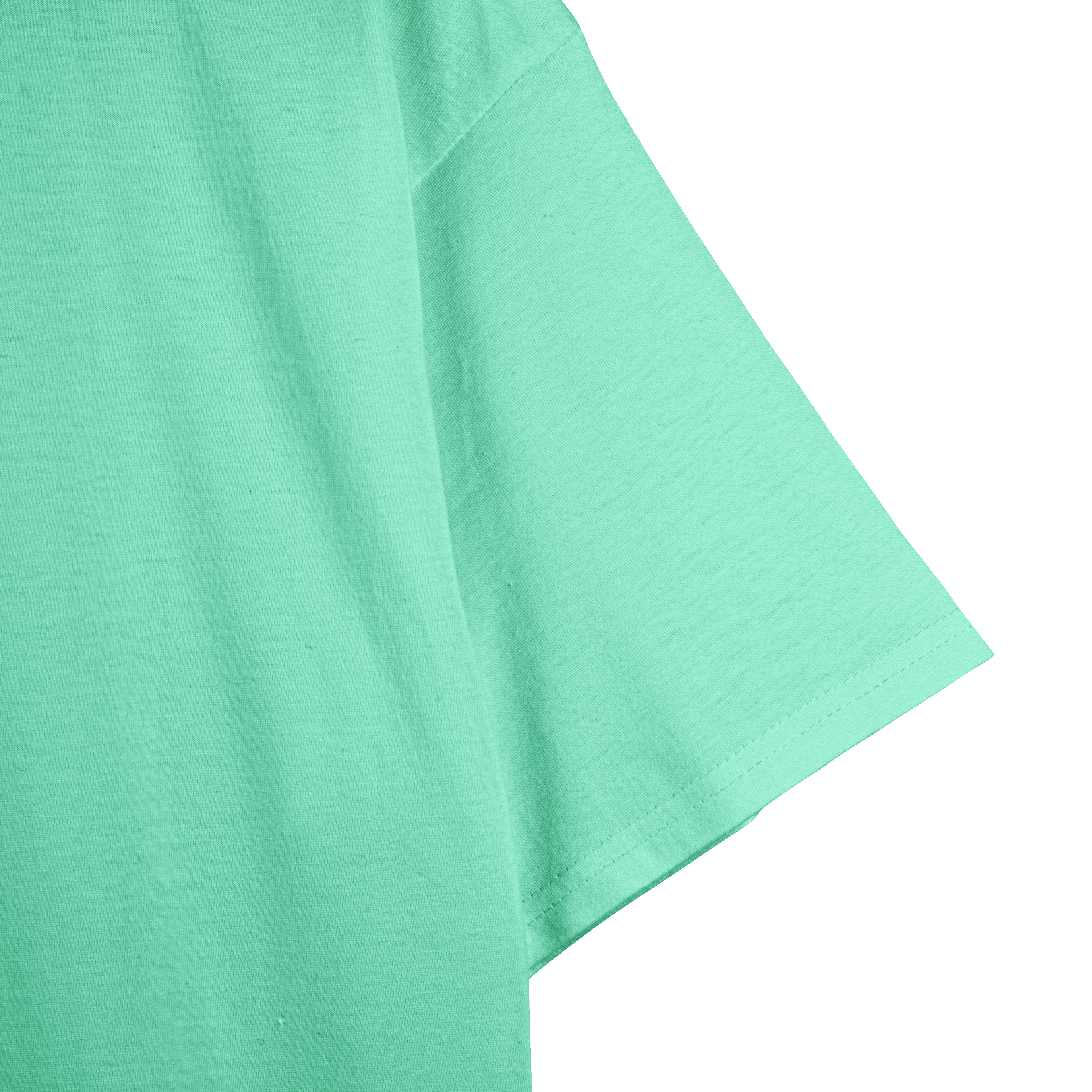 Mint Unisex Regular Fit Tshirt - BURBENT®