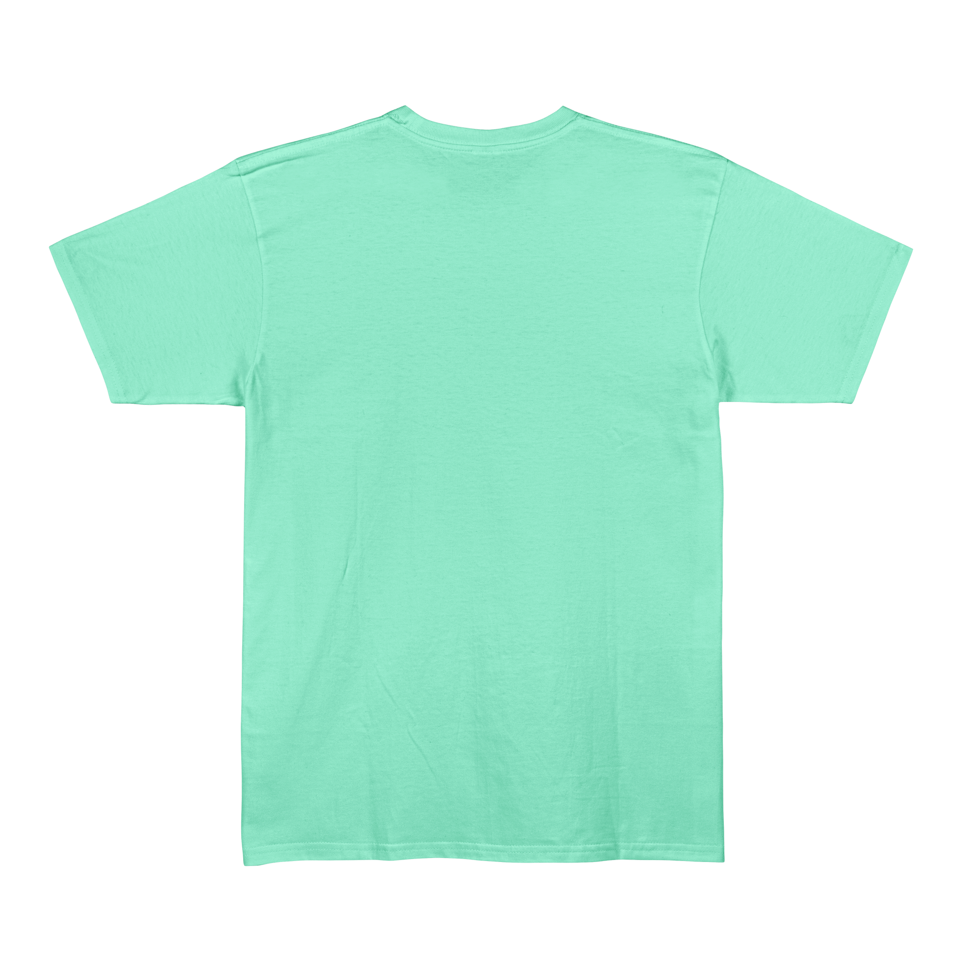 Mint Unisex Regular Fit Tshirt - BURBENT®