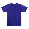 Royal Blue Unisex Regular Fit Tshirt - BURBENT®